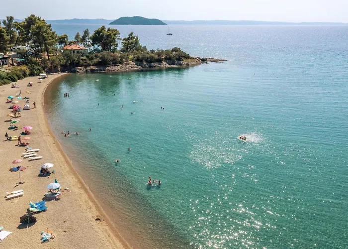 Thallo Paradisos
